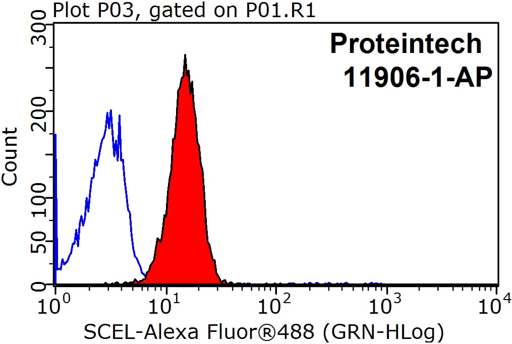 Flow cytometry (FC) experiment of HeLa cells using SCEL Polyclonal antibody (11906-1-AP)