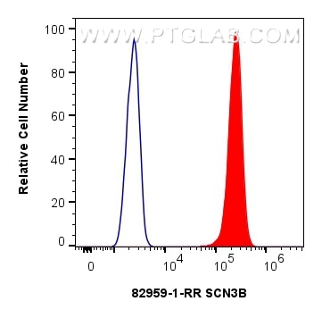 SCN3B