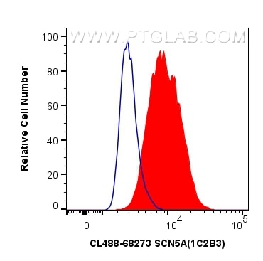 Flow cytometry (FC) experiment of HeLa cells using CoraLite® Plus 488-conjugated SCN5A Monoclonal ant (CL488-68273)