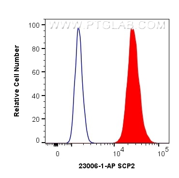 Flow cytometry (FC) experiment of HepG2 cells using SCP2 Polyclonal antibody (23006-1-AP)