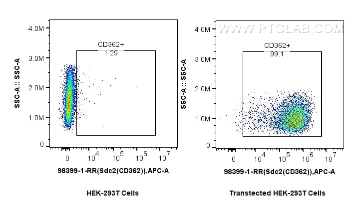 Flow cytometry (FC) experiment of Transfected HEK-293T cells using Anti-Mouse SDC2 Rabbit Recombinant Antibody (98399-1-RR)