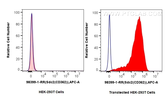 Flow cytometry (FC) experiment of Transfected HEK-293T cells using Anti-Mouse SDC2 Rabbit Recombinant Antibody (98399-1-RR)