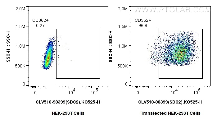 Flow cytometry (FC) experiment of Transfected HEK-293T cells using CoraLux Violet 510 Anti-Mouse SDC2 Rabbit Recombin (CLV510-98399)