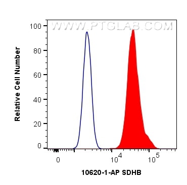 Flow cytometry (FC) experiment of HepG2 cells using SDHB Polyclonal antibody (10620-1-AP)