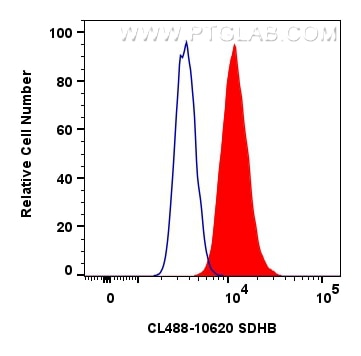 Flow cytometry (FC) experiment of HepG2 cells using CoraLite® Plus 488-conjugated SDHB Polyclonal anti (CL488-10620)