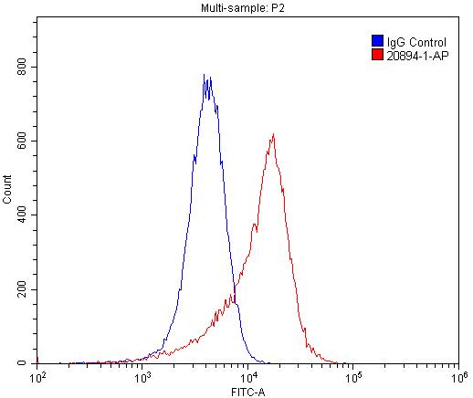 Flow cytometry (FC) experiment of HUVEC cells using E-selectin / CD62E Polyclonal antibody (20894-1-AP)