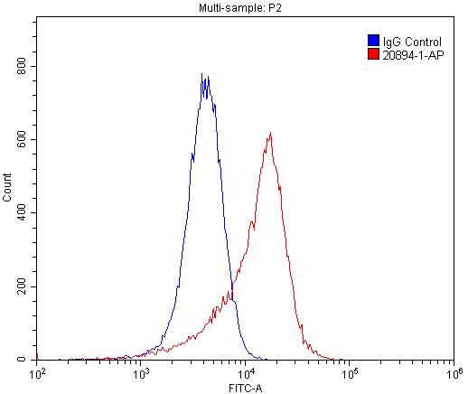 FC experiment of HUVEC using 20894-1-AP