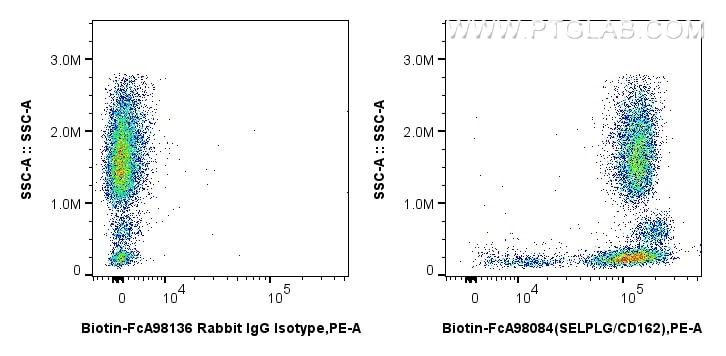 FC experiment of human peripheral blood leukocyte using Biotin-FcA98084 Flow cytometry (FC) experiment of human peripheral blood leukocyte using FcZero-rAb® Biotin Anti-Human SELPLG/CD162 Rabbit (Biotin-FcA98084)