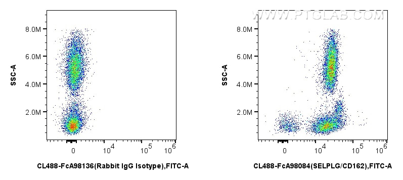 Flow cytometry (FC) experiment of human peripheral blood leukocyte using FcZero-rAb™ CoraLite® Plus 488 Anti-Human SELPLG/C (CL488-FcA98084)