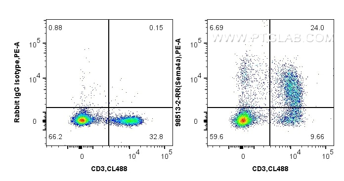 1x10^6 mouse splenocytes were surface stained with 0.25 ug Anti-Mouse SEMA4A Rabbit RecAb (98513-2-RR, Clone: 250325B12) or Rabbit IgG Isotype Control RecAb (98136-1-RR, Clone: 240953C9), and PE-Conjugated Goat Anti-Rabbit IgG(H+L). Cells were then stained with CoraLite® Plus 488 Anti-Mouse CD3. Cells were not fixed. This data was developed using the same antibody clone with 98513-2-PBS in a different storage buffer formulation. Flow cytometry (FC) experiment of mouse splenocytes using Anti-Mouse SEMA4A Rabbit Recombinant Antibody (98513-2-RR)