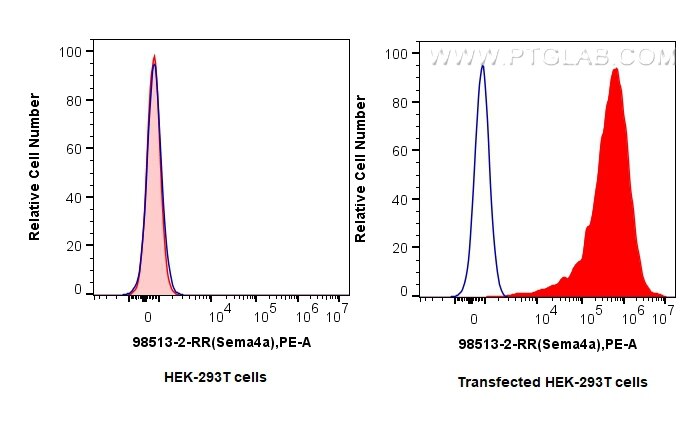 1x10^6 HEK-293T cells (left) or SEMA4A transfected HEK-293T cells (right) were surface stained with 0.25 ug Anti-Mouse SEMA4A Rabbit RecAb (98513-2-RR, Clone: 250325B12) (red) or 0.25 ug Rabbit IgG Isotype Control RecAb (98136-1-RR, Clone: 240953C9) (blue), and PE-Conjugated Goat Anti-Rabbit IgG(H+L). Cells were not fixed. This data was developed using the same antibody clone with 98513-2-PBS in a different storage buffer formulation. Flow cytometry (FC) experiment of Transfected HEK-293T cells using Anti-Mouse SEMA4A Rabbit Recombinant Antibody (98513-2-RR)