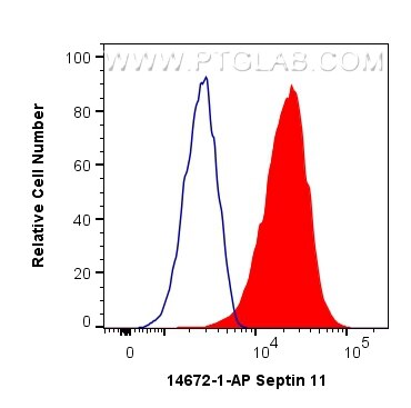 Flow cytometry (FC) experiment of HeLa cells using Septin 11 Polyclonal antibody (14672-1-AP)