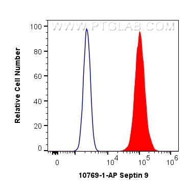 Flow cytometry (FC) experiment of HepG2 cells using Septin 9 Polyclonal antibody (10769-1-AP)