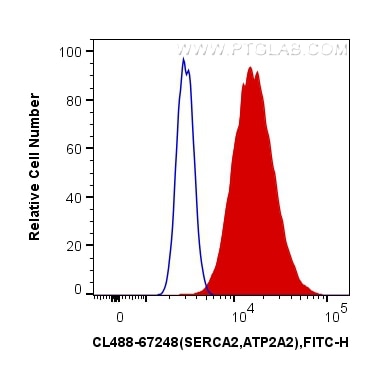 FC experiment of HeLa using CL488-67248