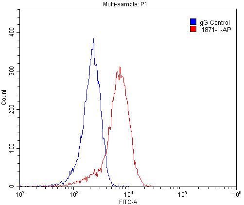 FC experiment of Jurkat using 11871-1-AP