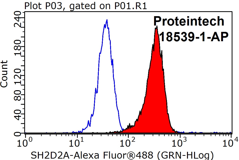Flow cytometry (FC) experiment of K-562 cells using SH2D2A Polyclonal antibody (18539-1-AP)