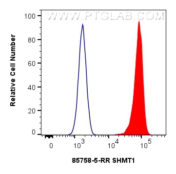 Flow cytometry (FC) experiment of U2OS cells using SHMT1 Recombinant monoclonal antibody (85758-5-RR)