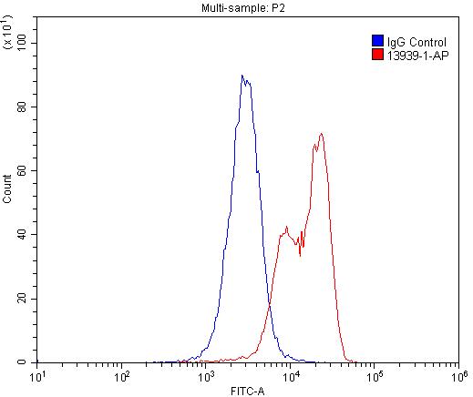 FC experiment of U-937 using 13939-1-AP