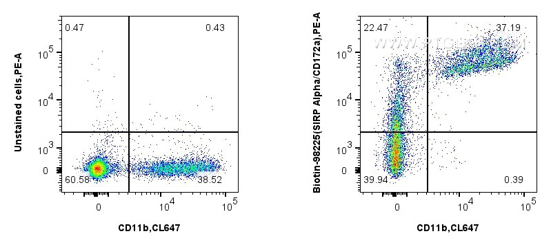 1x10^6 mouse bone marrow cells were surface stained with CoraLite® Plus 647 Anti-Mouse CD11b (M1/70) (CL647-65055, Clone: M1/70), and 0.25 ug Biotin Anti-Mouse SIRP Alpha/CD172a Rabbit RecAb (Biotin-98225, Clone: 241794D9) or Rabbit IgG Isotype Control RecAb (98136-1-RR, Clone: 240953C9), and PE-Conjugated Goat Anti-Rabbit IgG(H+L). Cells were not fixed. Flow cytometry (FC) experiment of mouse bone marrow cells using Biotin Anti-Mouse SIRP Alpha/CD172a Rabbit Recombi (Biotin-98225)