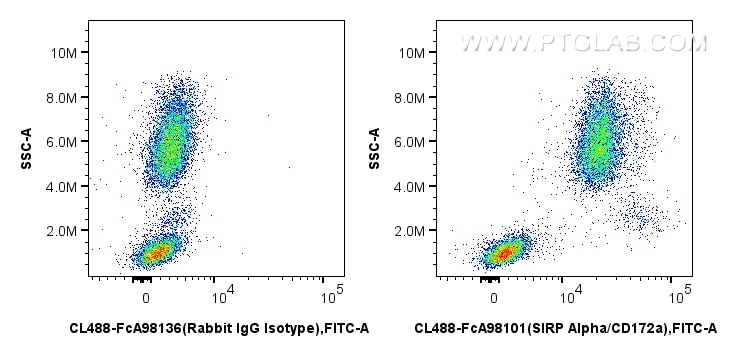 FC experiment of human peripheral blood leukocyte using CL488-FcA98101 Flow cytometry (FC) experiment of human peripheral blood leukocyte using FcZero-rAb® CoraLite® Plus 488 Anti-Human SIRP Alp (CL488-FcA98101)