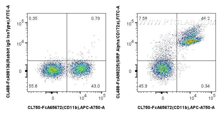 FC experiment of mouse bone marrow cells using CL488-FcA98225 Flow cytometry (FC) experiment of mouse bone marrow cells using FcZero-rAb® CoraLite® Plus 488 Anti-Mouse SIRP Alp (CL488-FcA98225)