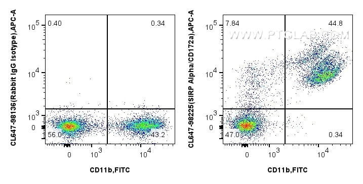 Flow cytometry (FC) experiment of mouse bone marrow cells using CoraLite® Plus 647 Anti-Mouse SIRP Alpha/CD172a Ra (CL647-98225)