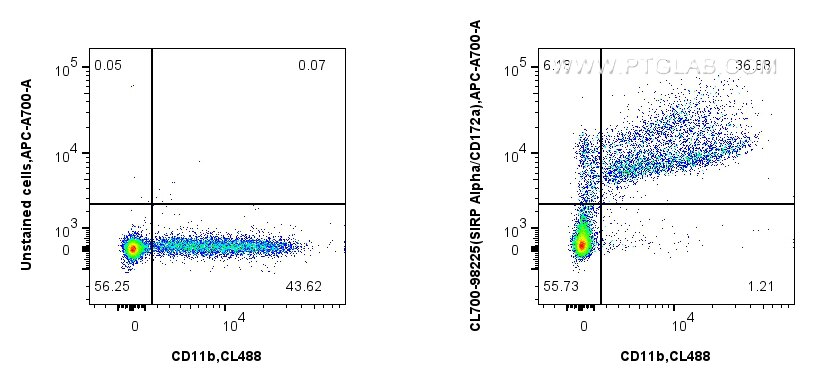 1x10^6 mouse bone marrow cells were surface stained with CoraLite® Plus 488 Anti-Mouse CD11b (M1/70) (CL488-65055, Clone: M1/70), and 0.25 ug CoraLite®700 Anti-Mouse SIRP Alpha/CD172a Rabbit RecAb (CL700-98225, Clone: 241794D9) or Rabbit IgG Isotype Control RecAb (98136-1-RR, Clone: 240953C9). Cells were not fixed. Flow cytometry (FC) experiment of mouse bone marrow cells using CoraLite®700 Anti-Mouse SIRP Alpha/CD172a Rabbit R (CL700-98225)