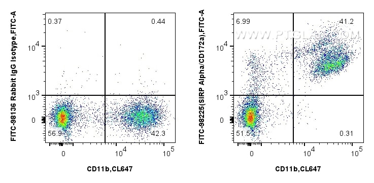 Flow cytometry (FC) experiment of mouse bone marrow cells using FITC Plus Anti-Mouse SIRP Alpha/CD172a Rabbit Reco (FITC-98225)