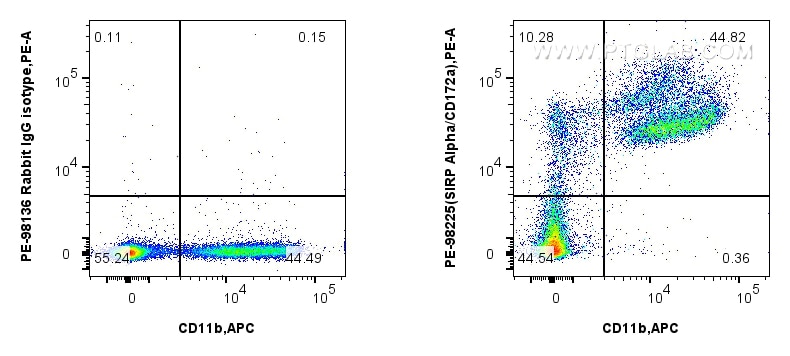 Flow cytometry (FC) experiment of mouse bone marrow cells using PE Anti-Mouse SIRP Alpha/CD172a Rabbit Recombinant (PE-98225)