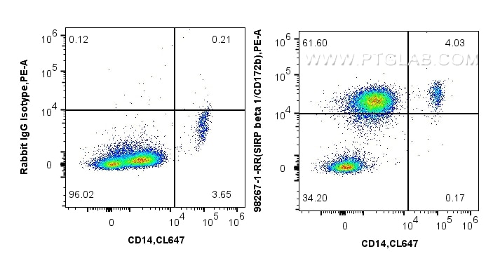 Flow cytometry (FC) experiment of human peripheral blood leukocytes using Anti-Human SIRP beta 1/CD172b Rabbit Recombinant A (98267-1-RR)