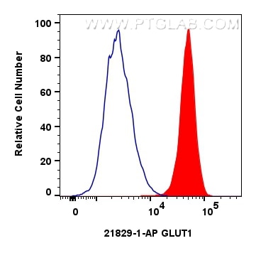 Flow cytometry (FC) experiment of HeLa cells using GLUT1 Polyclonal antibody (21829-1-AP)