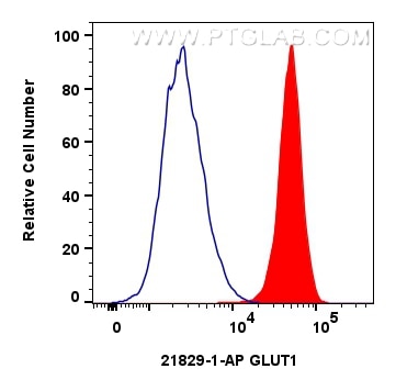 FC experiment of HeLa using 21829-1-AP