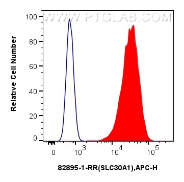 Flow cytometry (FC) experiment of HeLa cells using SLC30A1 Recombinant antibody (82895-1-RR)
