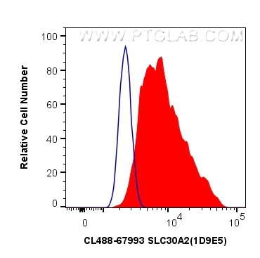 Flow cytometry (FC) experiment of HeLa cells using CoraLite® Plus 488-conjugated SLC30A2 Monoclonal a (CL488-67993)