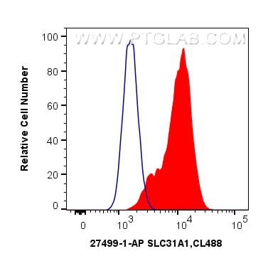 Flow cytometry (FC) experiment of HeLa cells using SLC31A1 Polyclonal antibody (27499-1-AP)