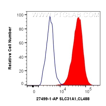 Flow cytometry (FC) experiment of Neuro-2a cells using SLC31A1 Polyclonal antibody (27499-1-AP)