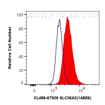 Flow cytometry (FC) experiment of PC-3 cells using CoraLite® Plus 488-conjugated SLC36A3 Monoclonal a (CL488-67929)
