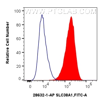 FC experiment of A549 using 28632-1-AP Flow cytometry (FC) experiment of A549 cells using SLC38A1 Polyclonal antibody (28632-1-AP)