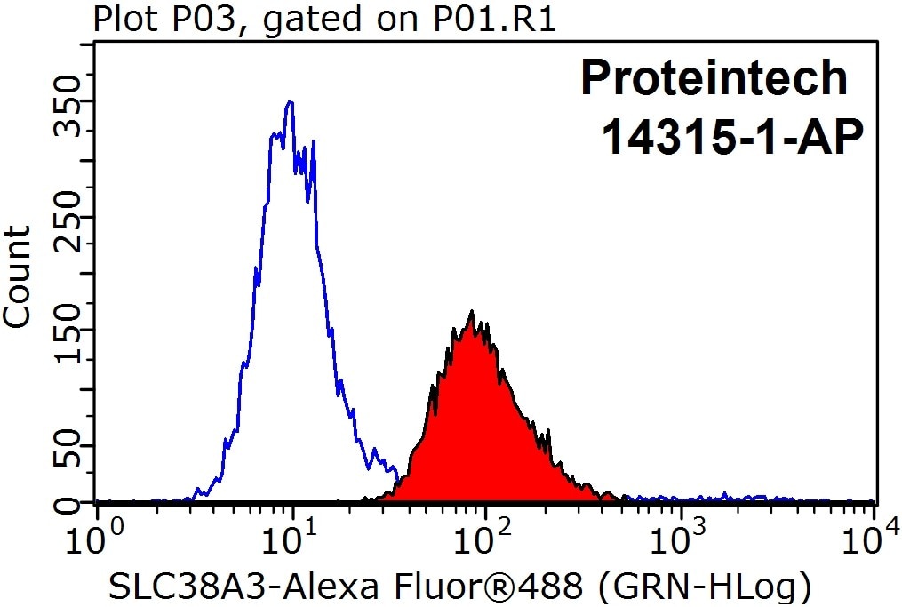 Flow cytometry (FC) experiment of HeLa cells using SLC38A3 Polyclonal antibody (14315-1-AP)