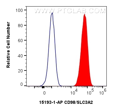 Flow cytometry (FC) experiment of HepG2 cells using CD98/SLC3A2 Polyclonal antibody (15193-1-AP)
