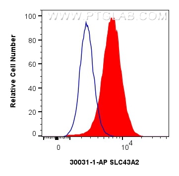 Flow cytometry (FC) experiment of Jurkat cells using SLC43A2 Polyclonal antibody (30031-1-AP)