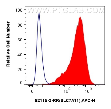 FC experiment of A549 using 82115-2-RR