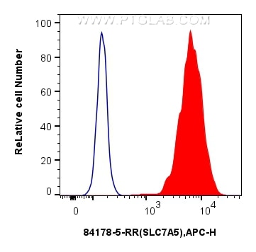 Flow cytometry (FC) experiment of HT-29 cells using SLC7A5 Recombinant antibody (84178-5-RR)