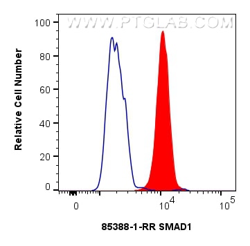 Flow cytometry (FC) experiment of HeLa cells using SMAD1 Recombinant antibody (85388-1-RR)