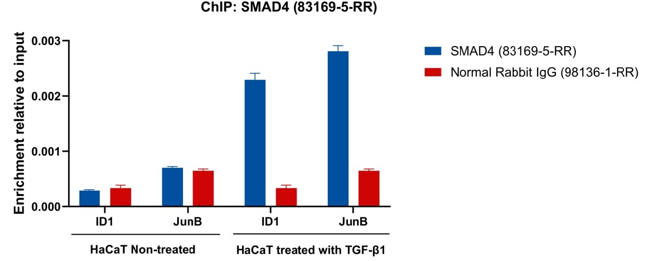 ChIP experiment of HaCaT cells using SMAD4 Recombinant antibody (83169-5-RR)