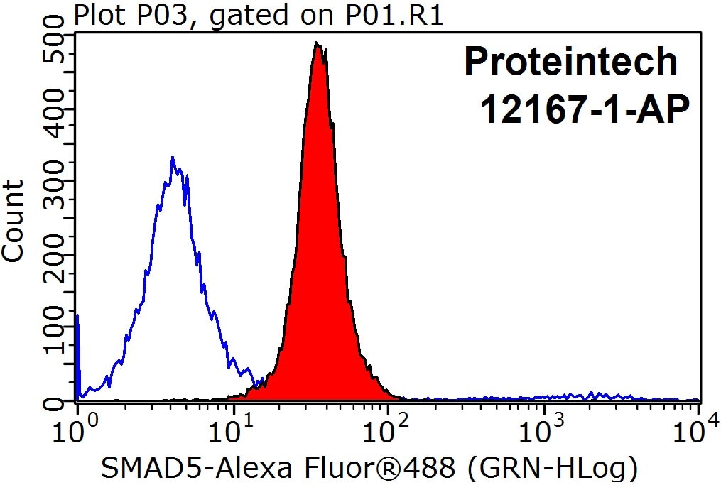 Flow cytometry (FC) experiment of MCF-7 cells using SMAD5 Polyclonal antibody (12167-1-AP)