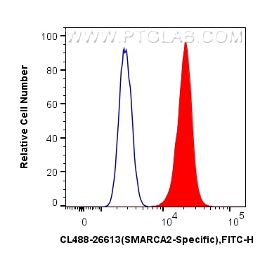 Flow cytometry (FC) experiment of HeLa cells using CoraLite® Plus 488-conjugated SMARCA2-Specific Pol (CL488-26613)