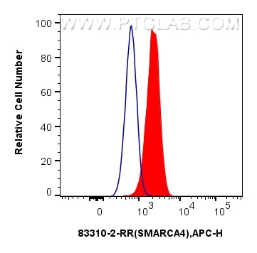 SMARCA4