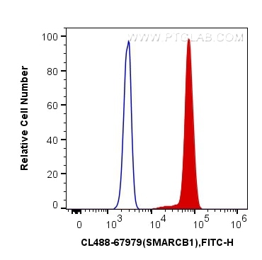 Flow cytometry (FC) experiment of HeLa cells using CoraLite® Plus 488-conjugated SMARCB1 Monoclonal a (CL488-67979)