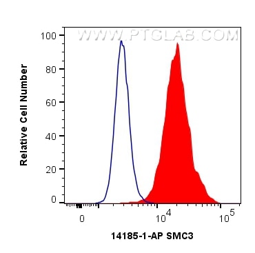 Flow cytometry (FC) experiment of HeLa cells using SMC3 Polyclonal antibody (14185-1-AP)
